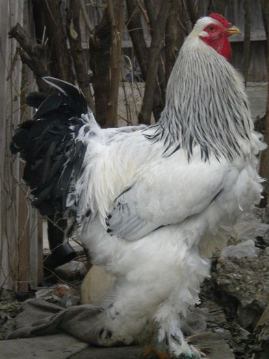 DSCN8102 - v arhivaLot HD-2015