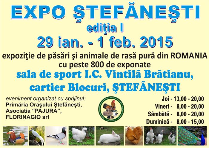 afis expo stefanesti - EXPOZITIE STEFANESTI ARGES