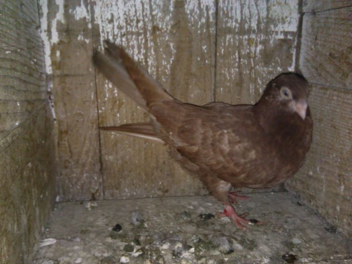 IMG_20150118_171639_884