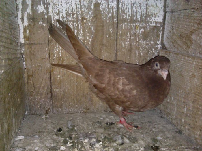 IMG_20150118_171644_738