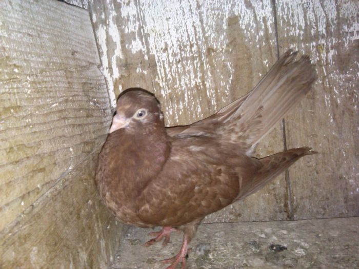 IMG_20150118_171652_450