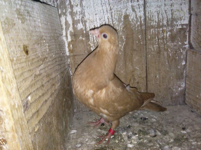 IMG_20150118_171705_536