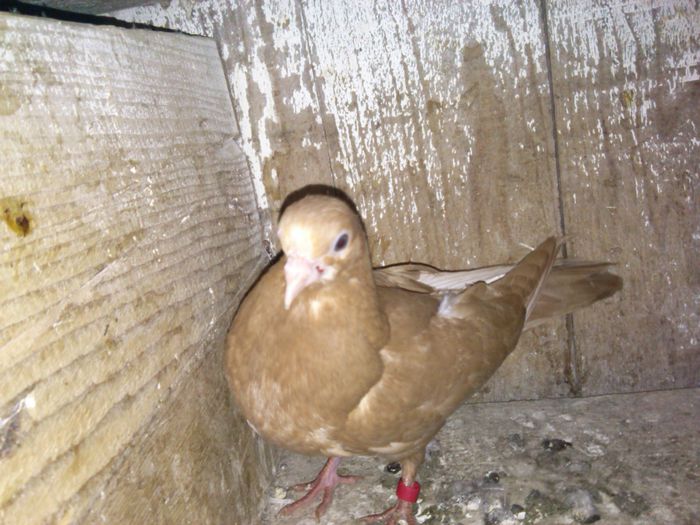 IMG_20150118_171710_767