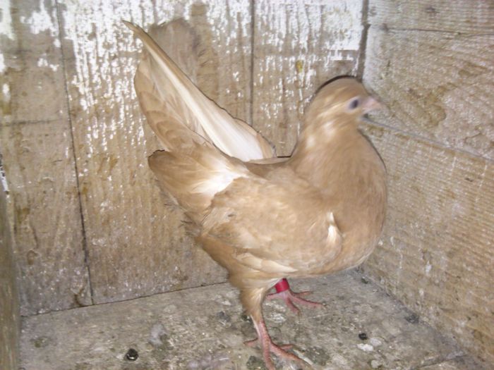 IMG_20150118_171716_326