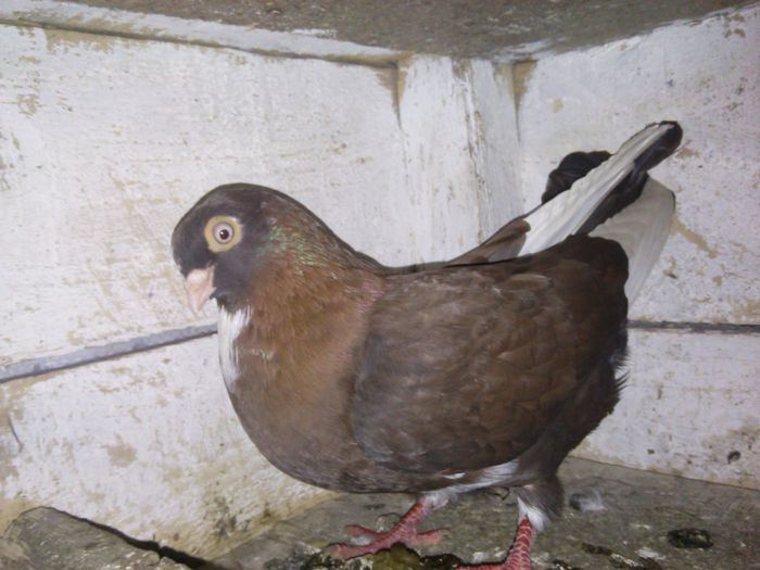 IMG_20141230_161437_862