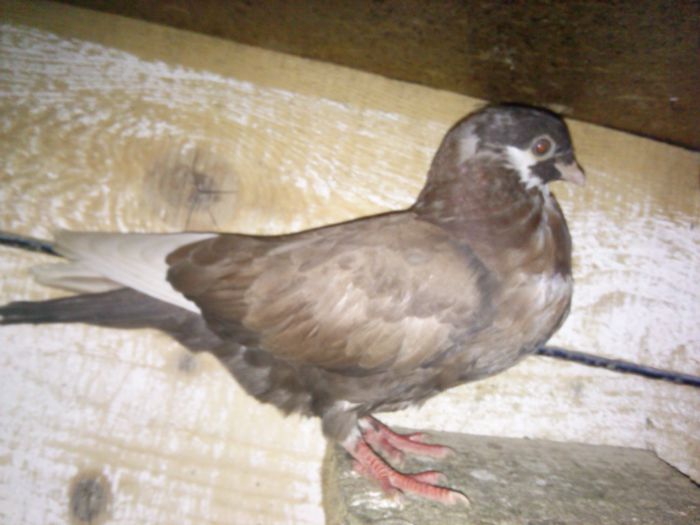 IMG_20141230_161509_120