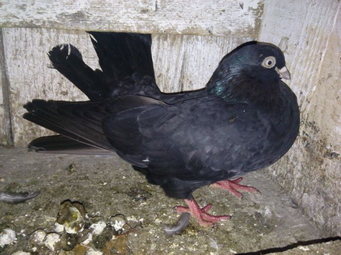 IMG_20141230_161556_145