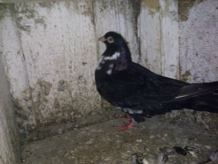 IMG_20141230_161707_360