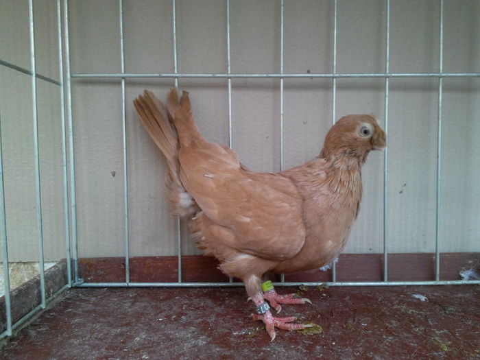 IMG_20150118_143709540