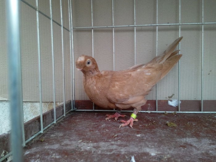 IMG_20150118_143702125