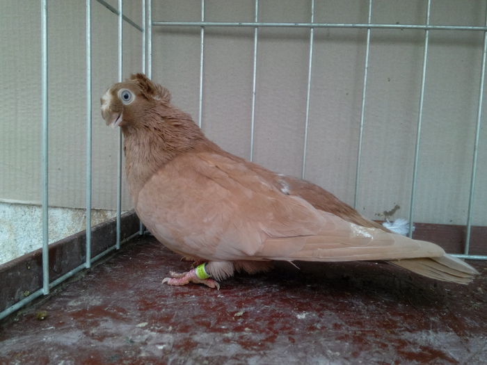 IMG_20150118_143104769