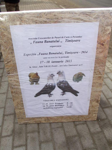 expozitie fauna banatului 17.01.2015-18.01.2015