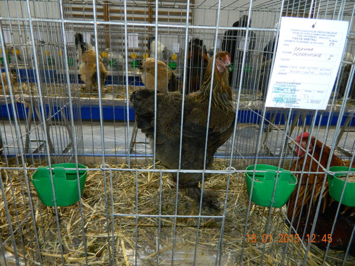 DSCN8128