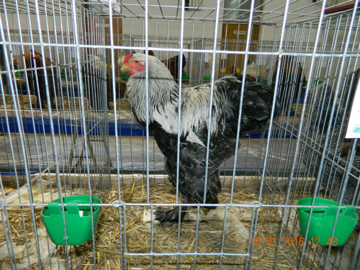 DSCN8135