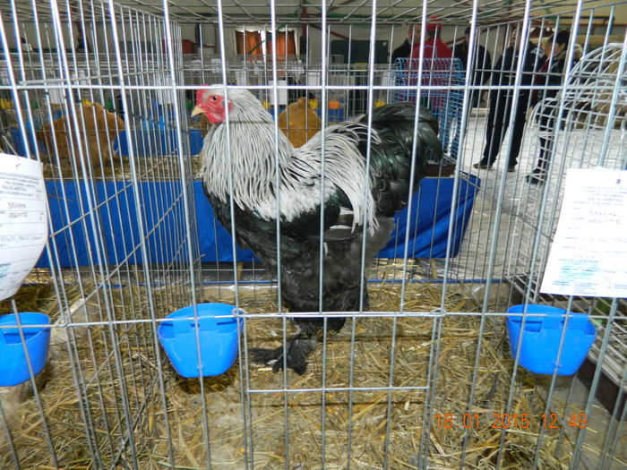 DSCN8139