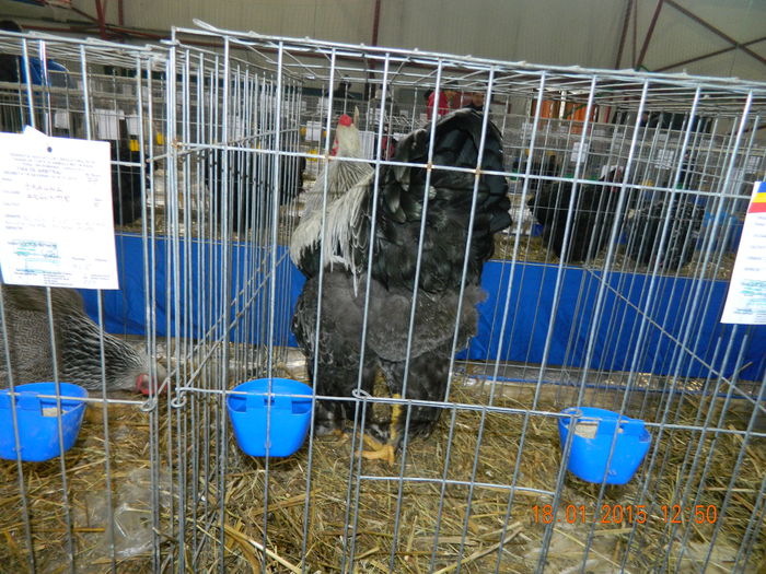 DSCN8148