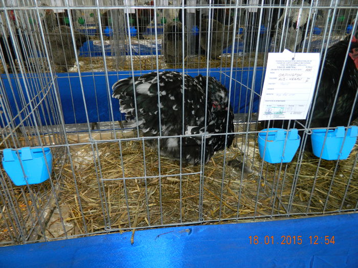 DSCN8171