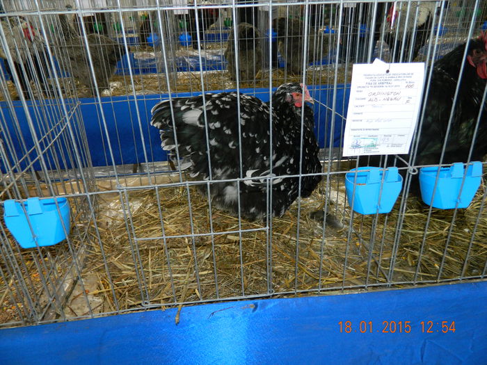 DSCN8172