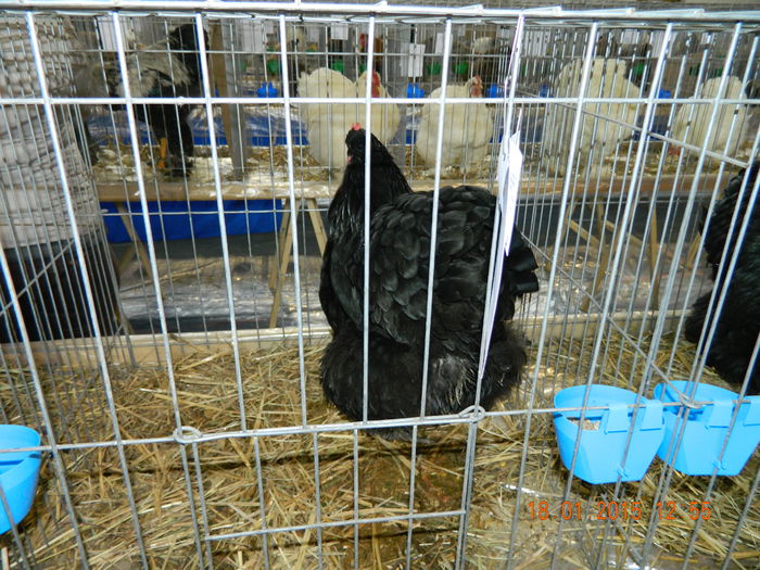 DSCN8181