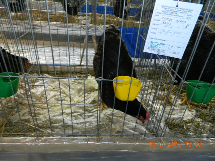 DSCN8204