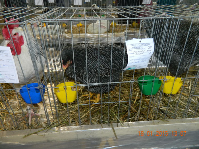 DSCN8219