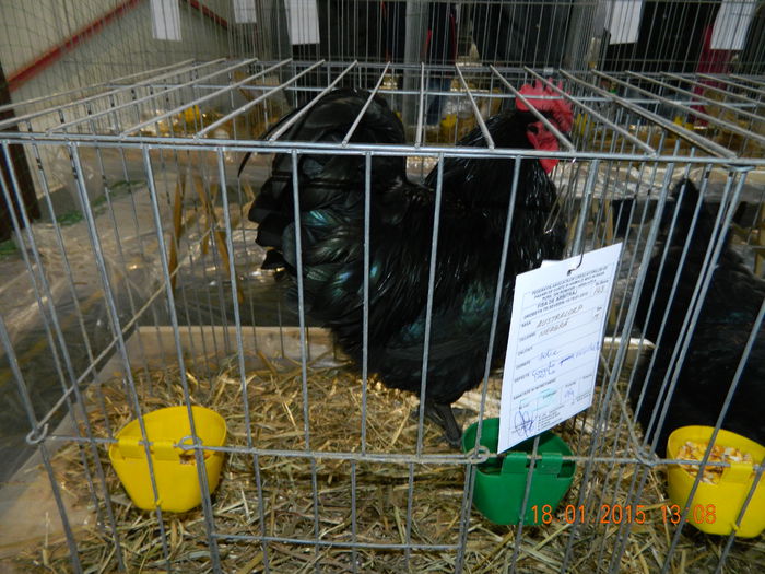 DSCN8226