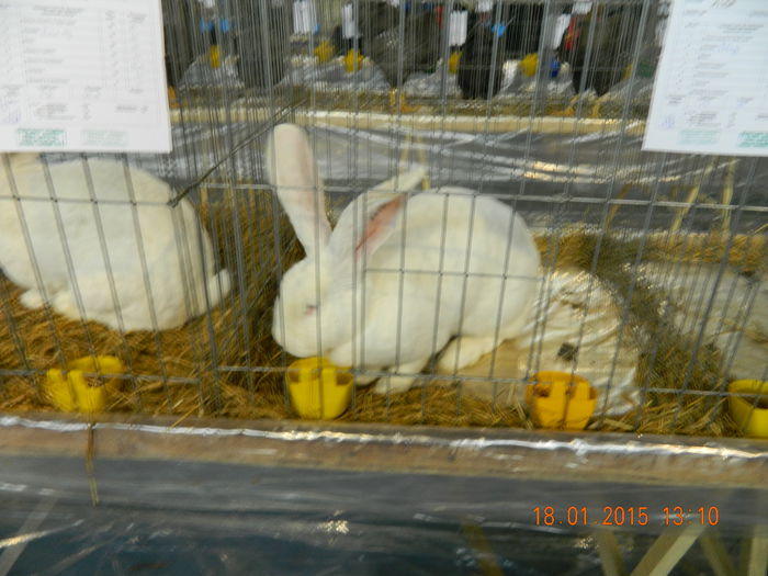 DSCN8245