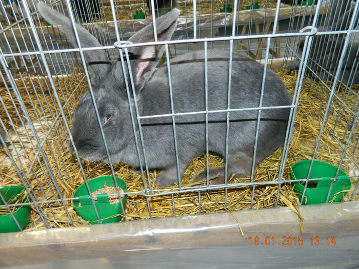 DSCN8268