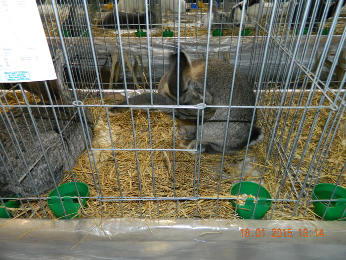 DSCN8271