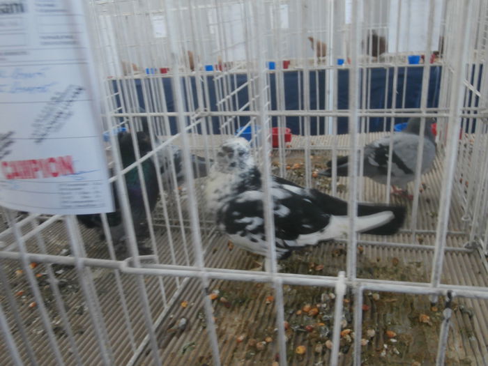 P1170039