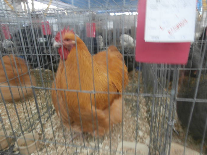 P1170098