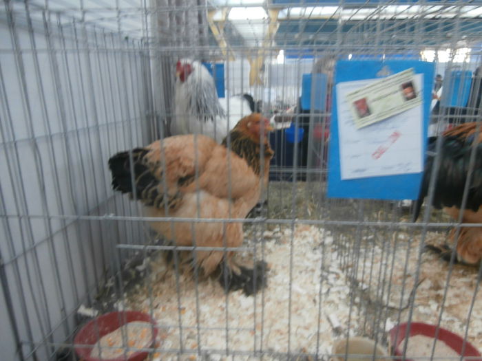 P1170100