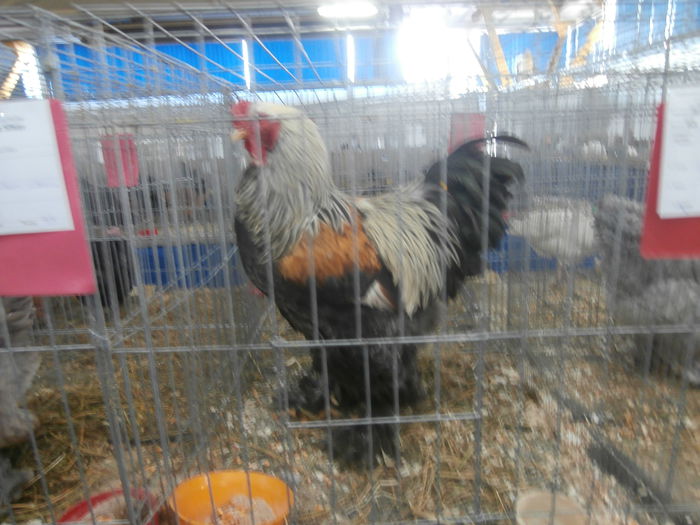 P1170101