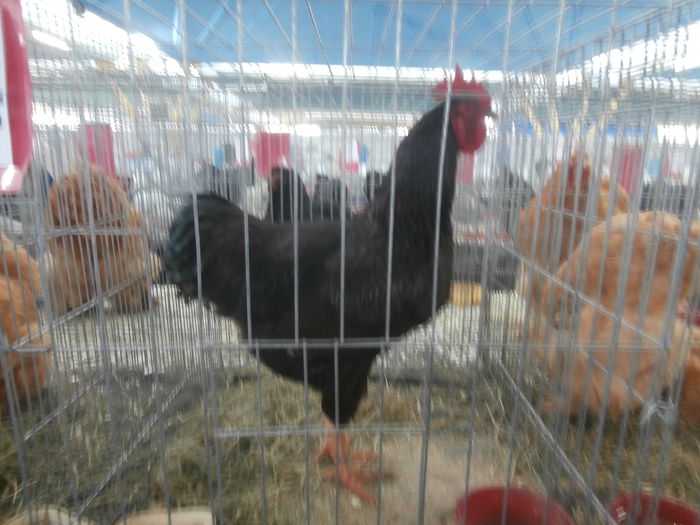 P1170103