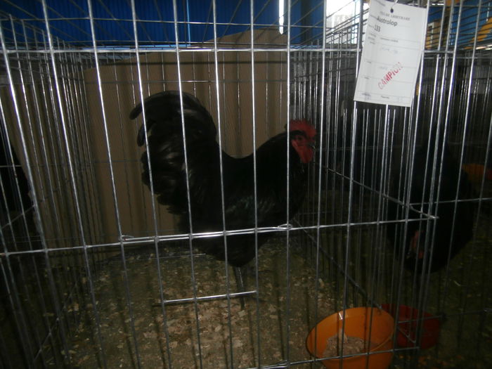 P1170104