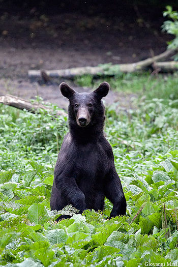 4827548065_136d4fb6b9_z - 65-Locuri de vizitat