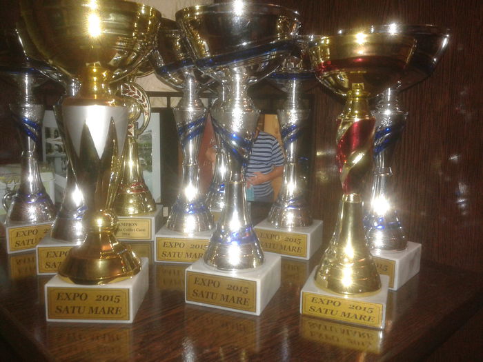 Rezultate ianuarie 2015