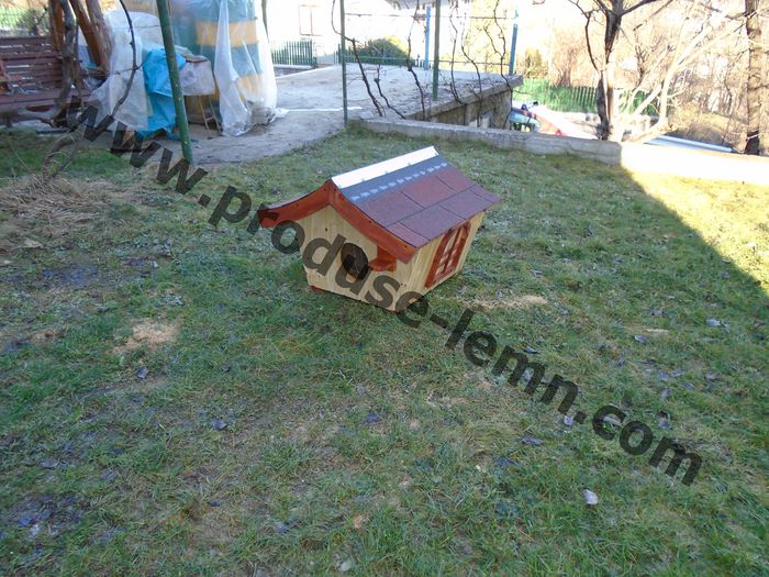 DSC08985