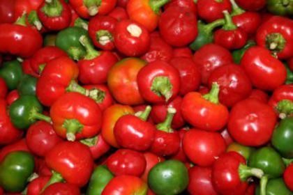 ardei CHERRY 2