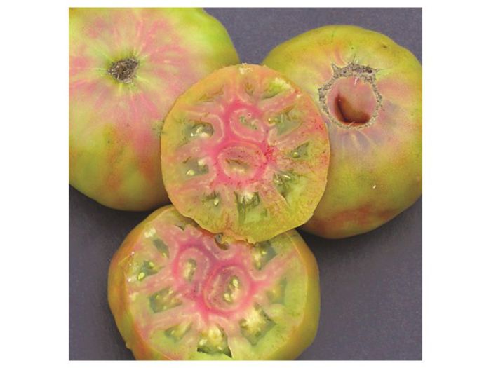 ROSII ANANAS NEGRU 2