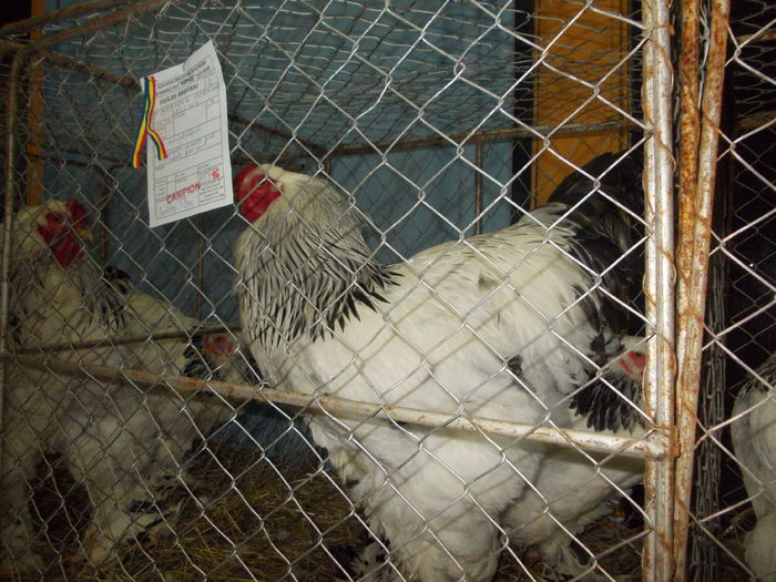 DSCN0178