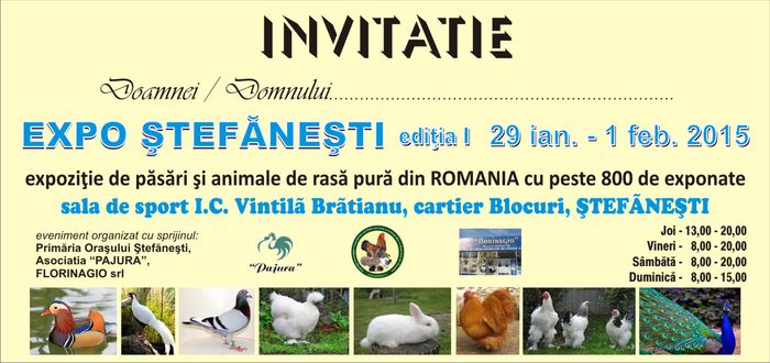 invitatie expo stefanesti