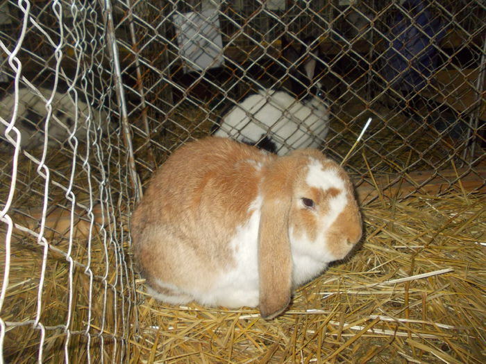 DSCN0272