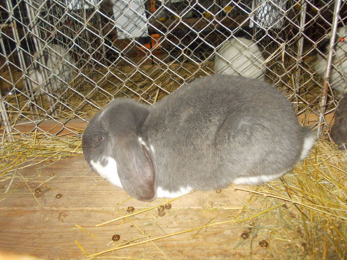 DSCN0275