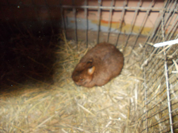 DSCN0290