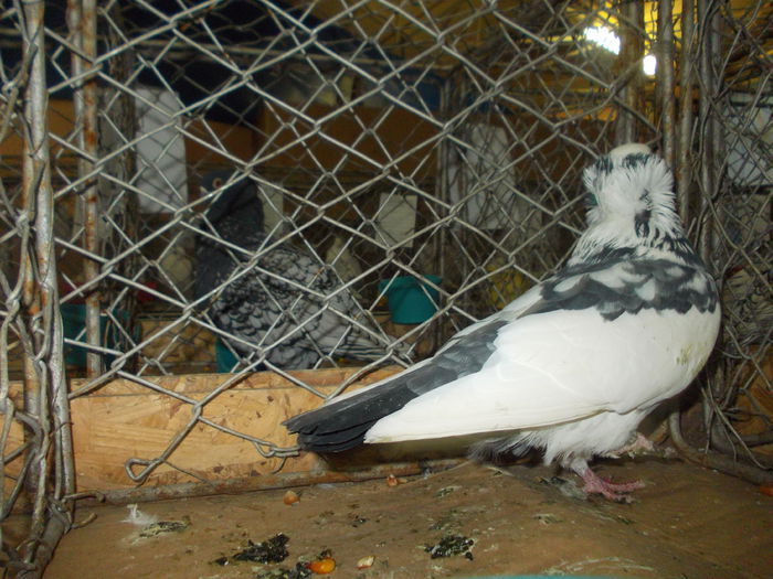 DSCN0324