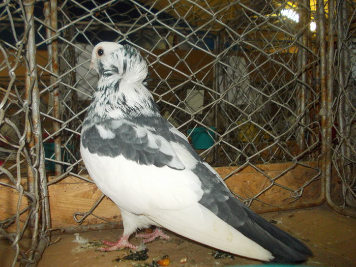 DSCN0325