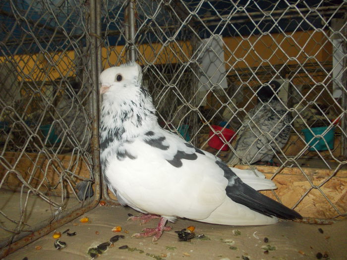 DSCN0328