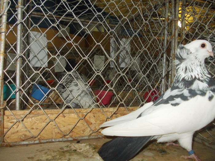 DSCN0329