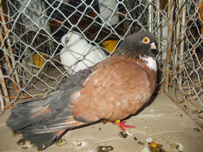 DSCN0340